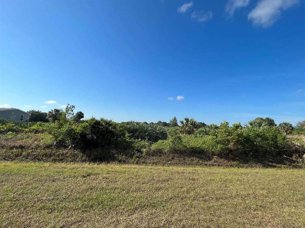 Build or bring your dream home and barn on this beautiful and private 1.25 acre just off of the main road but yet still private. there are power poles on this street. So much to enjoy in Okeechobee County. Come to The Kissimmee River Preserve State Park West of this area as well is the Kissimmee River. The Kissimmee river flows into Lake Okeechobee and is well known for some of the best fishing. whether you like Fishing, hunting ,mudding agriculture or just privacy here you have it all.