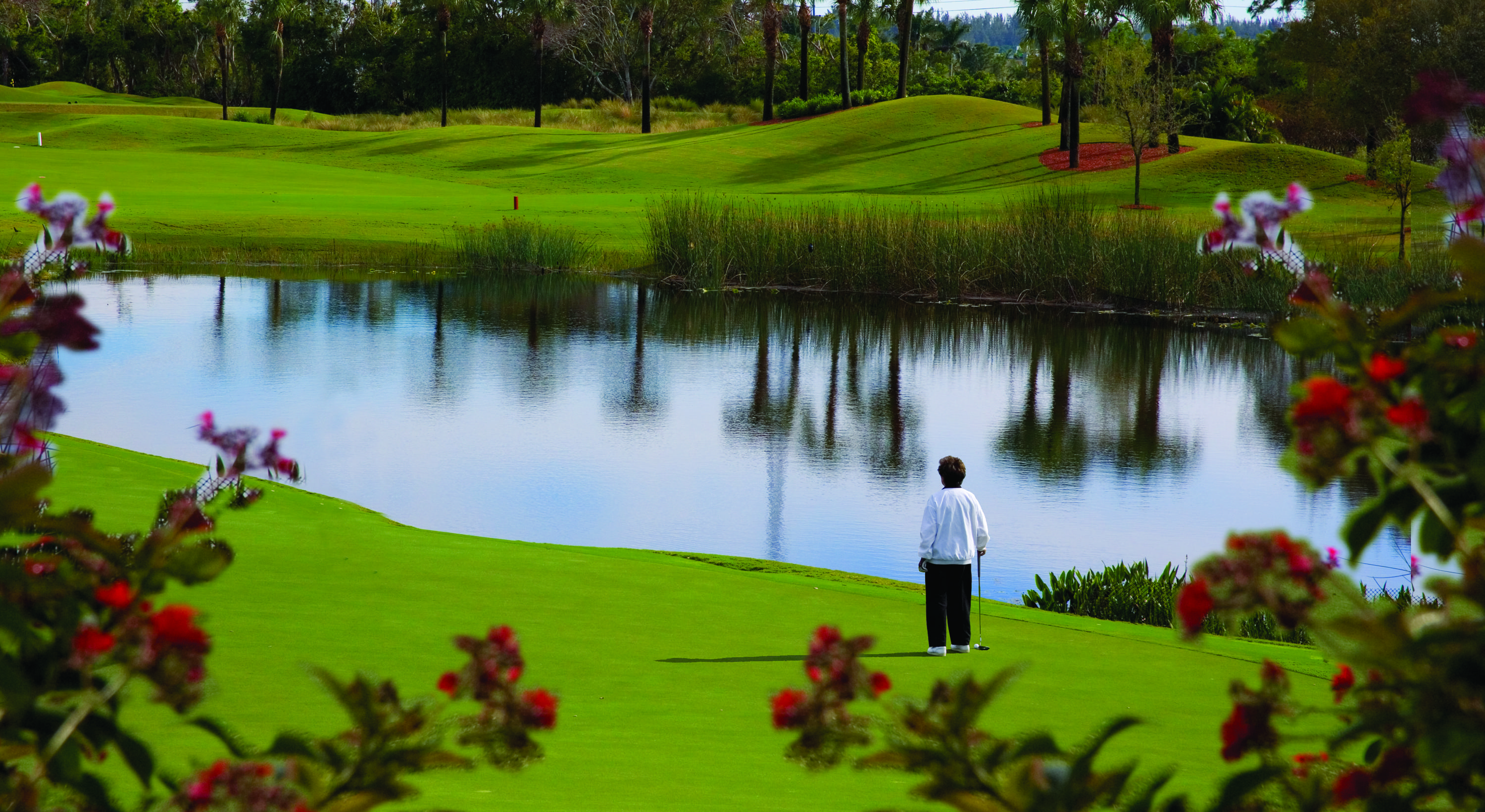 WILLOW WOOD MIDRISE CONDO - Residential