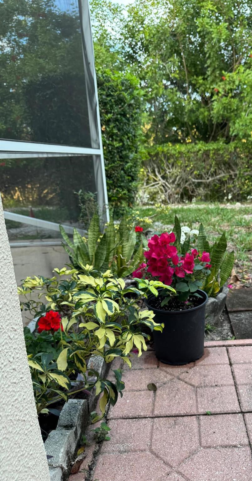 Boca Lakes - Residential