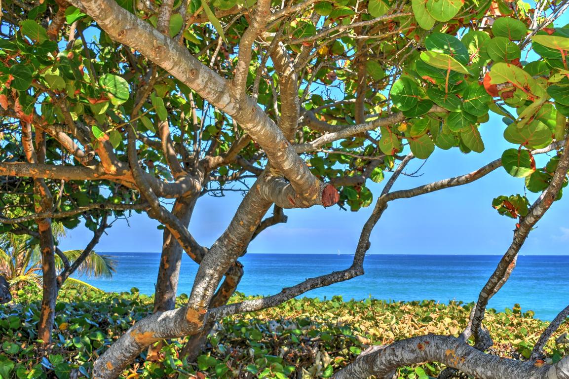 MARINA AT THE BLUFFS CONDO - Residential Lease