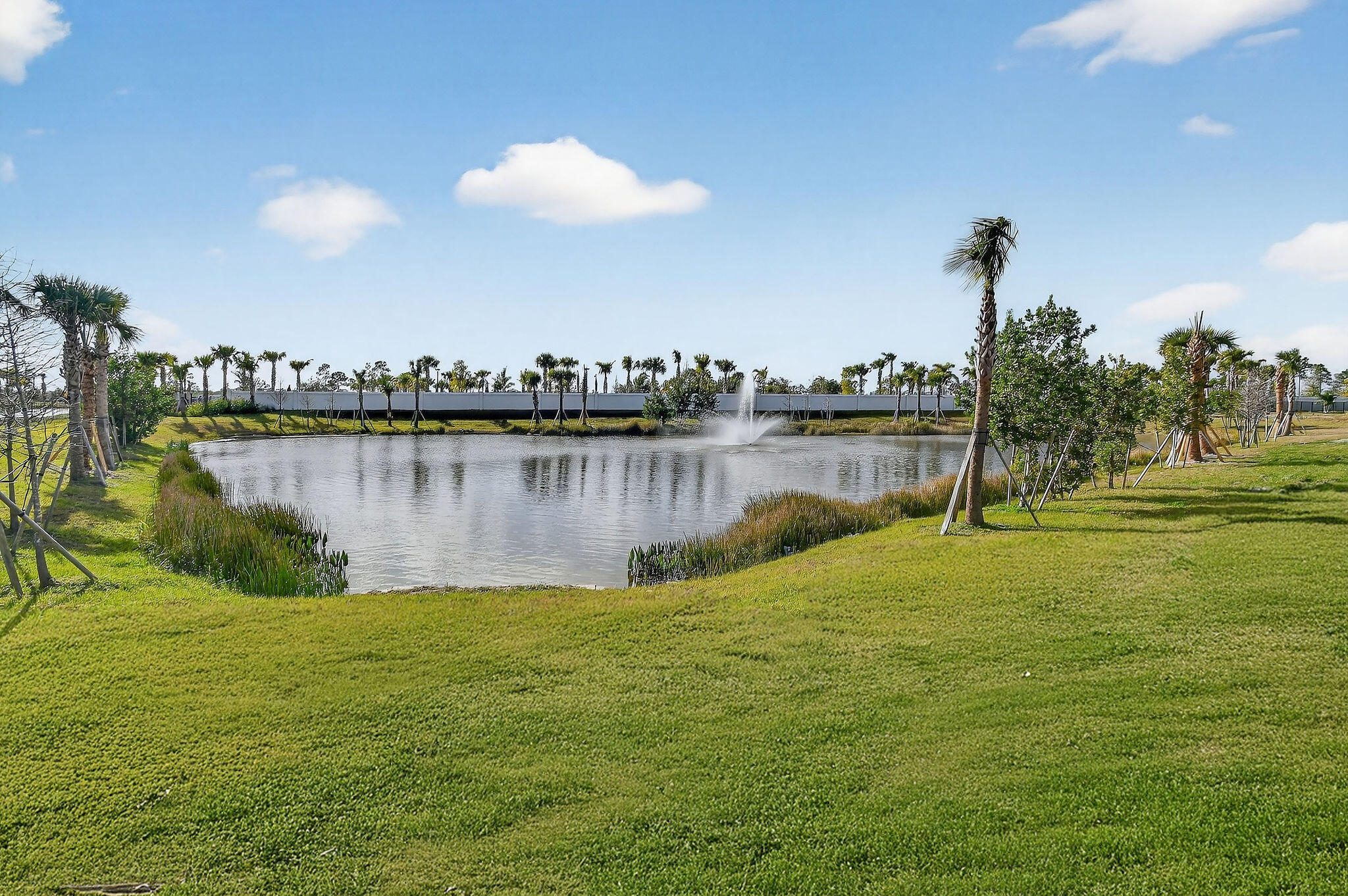 L'Ambiance at Avenir - Residential