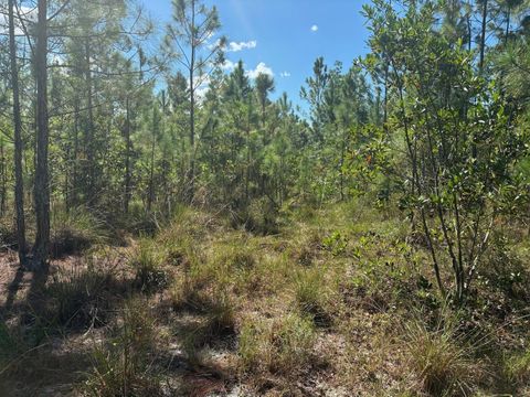 0 HOLOPAW GROVES RD St Cloud FL 34772