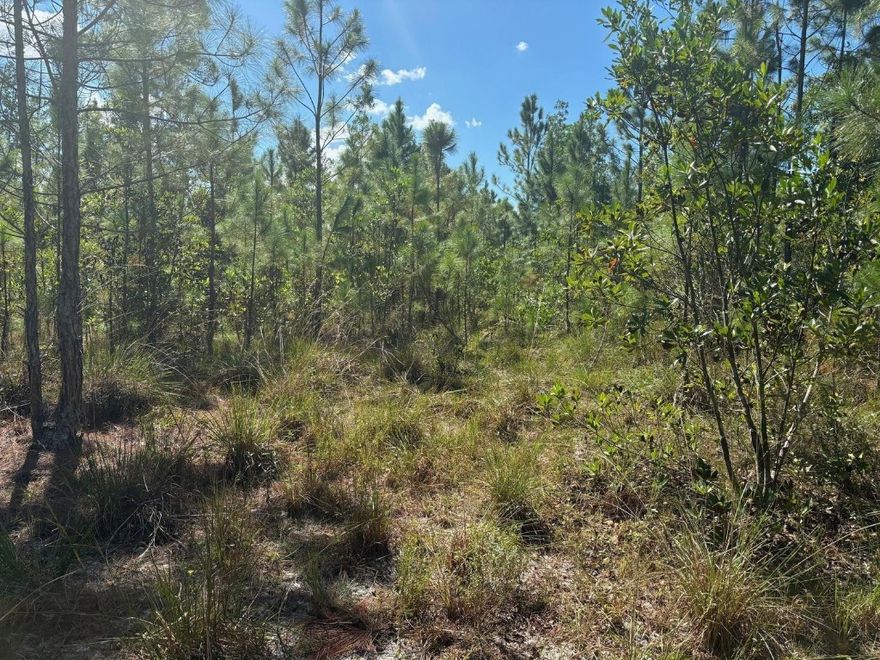 Over 5 acres in Holopaw! Great campsite with your own private hunting property in the back. Easy access and owner financing make this a very unique property.