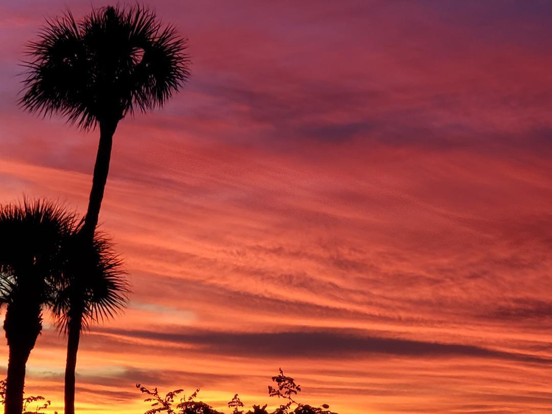 OCEAN VILLAGE - Residential