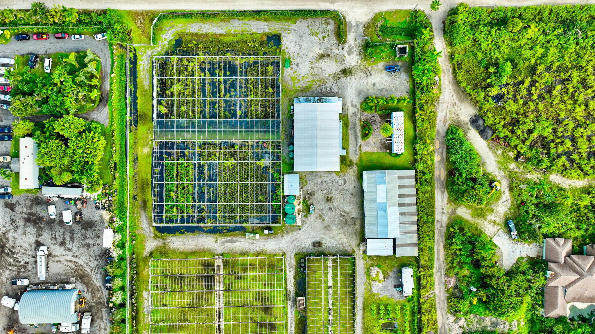 PALM BEACH FARMS CO 3 - Commercial Sale