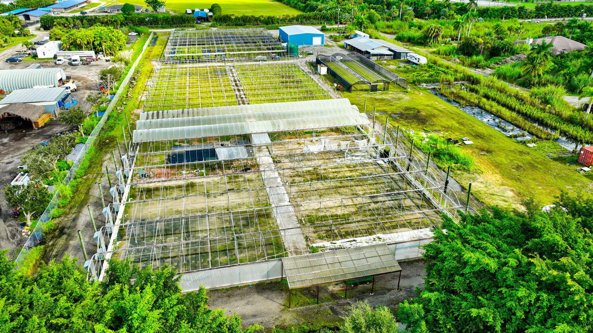 PALM BEACH FARMS CO 3 - Commercial Sale