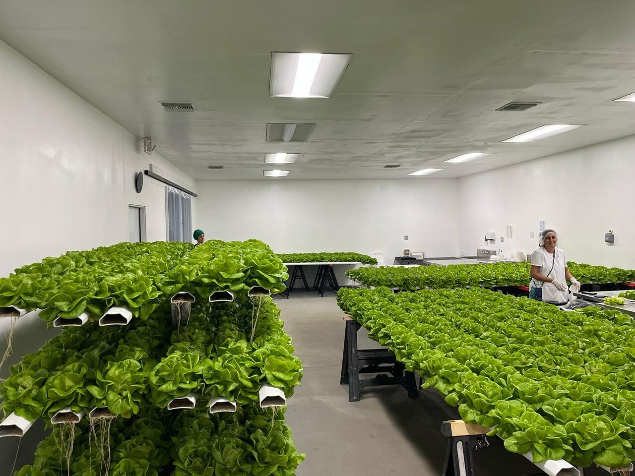 PALM BEACH FARMS CO 3 - Commercial Sale