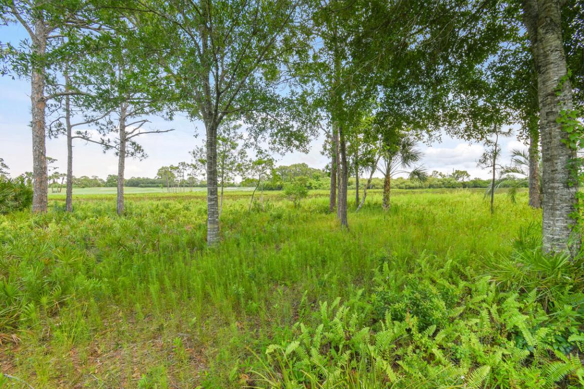 Harbour Ridge Yacht & Country Club - Buttonbush Vi - Residential