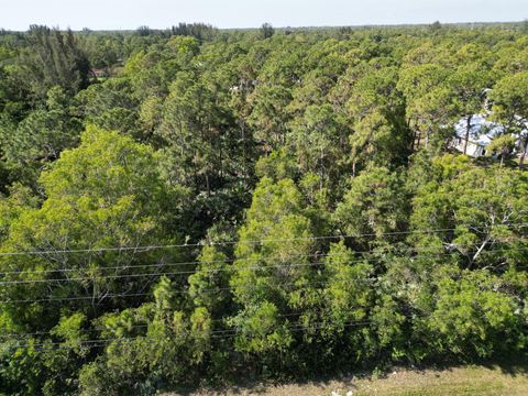 Xxx000 Tangerine The Acreage FL 33412