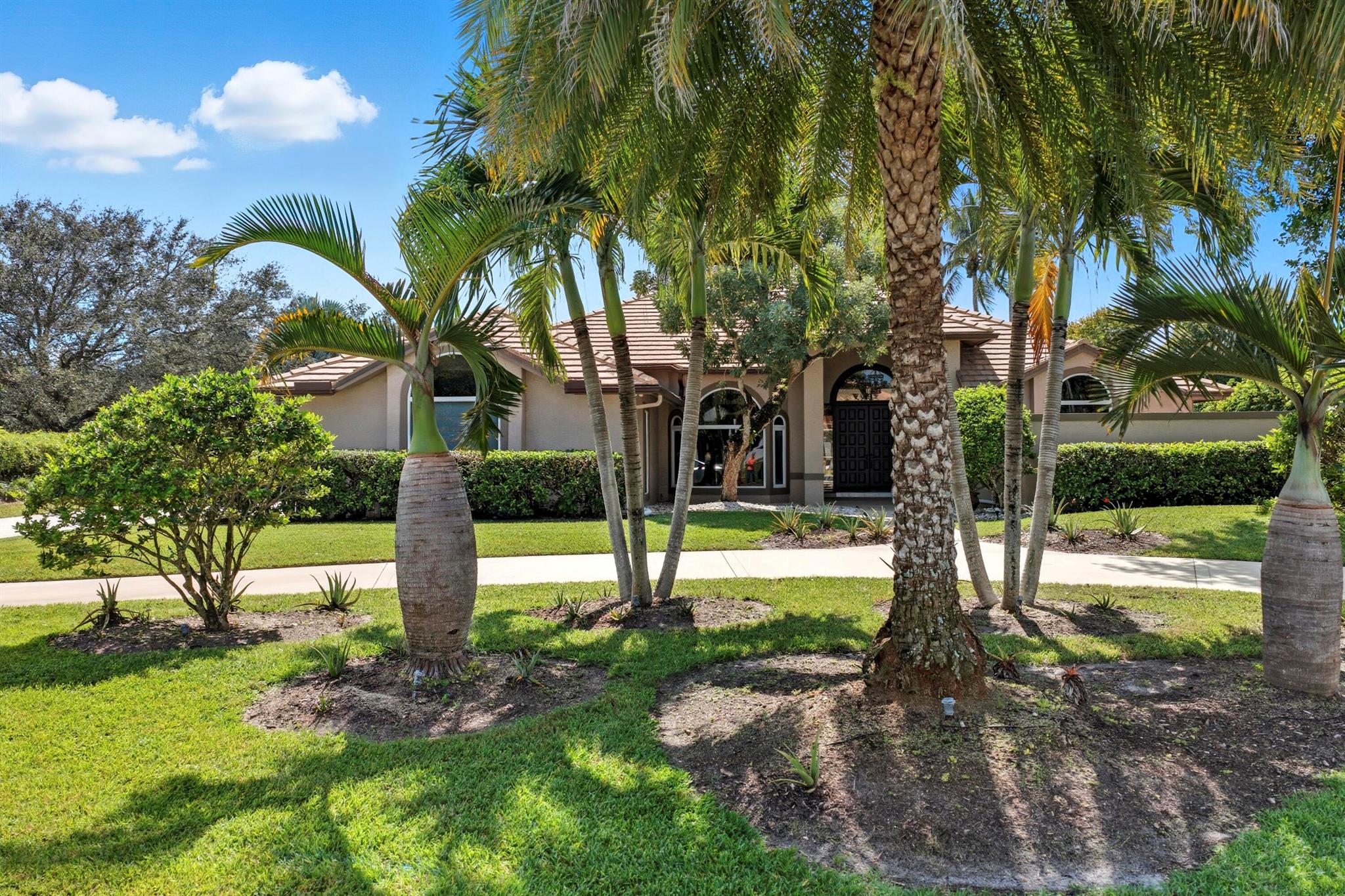 Steeplechase - Residential