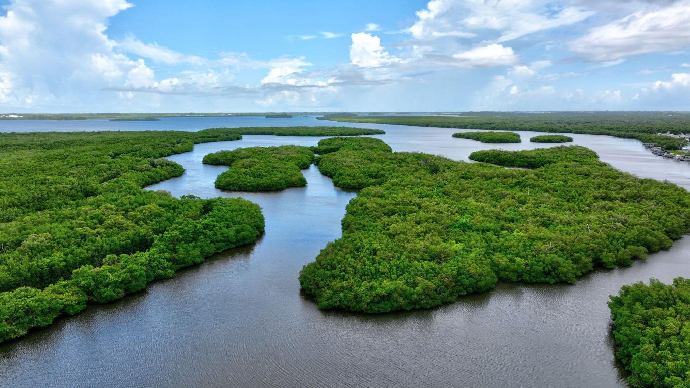 SEABREEZE AT ATLANTIC VIEW CONDOMINIUM - Residential