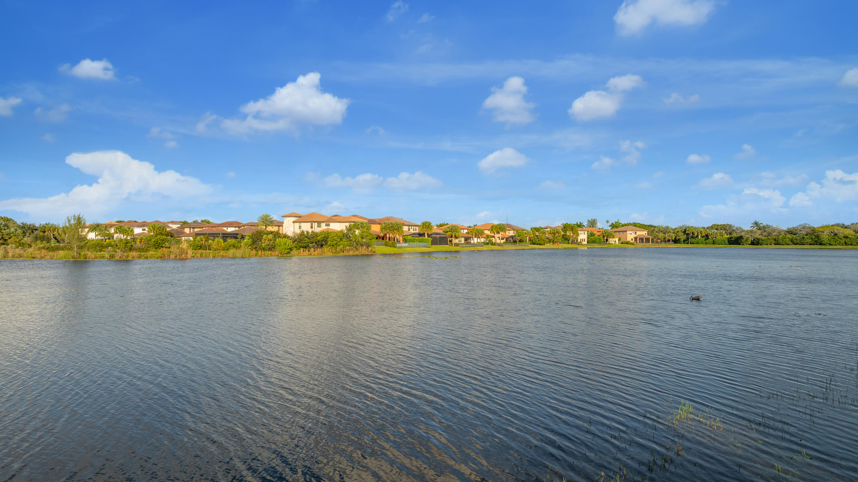 Heron Bay - Osprey Lake - Residential
