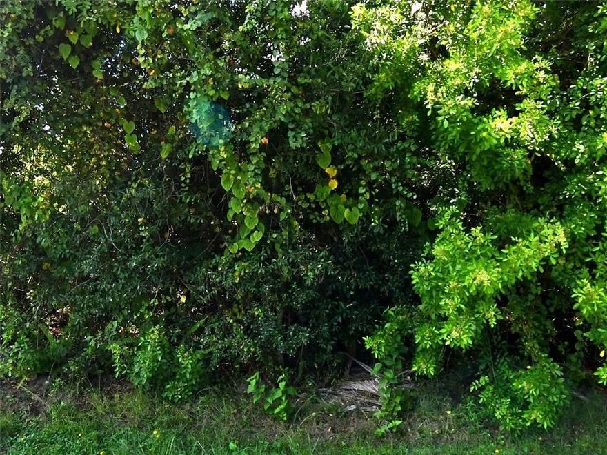 Rare, double vacant lot east of the turnpike. Currently offering 1 of 2 of the lots for sale, but will entertain offers for adjoining lot.  Mins to Turnpike Exit, PSL Botanical Garden, Civic Center, Hospital. Beautiful lake & park & recreation area nearby. Boat Launch nearby, for access to St Lucie River. Dog park nearby. Publix 2 mins away. Less than 20 mins to beaches and intracoastal waterway. Both lots together are  oversized corner at .54 of an acre.