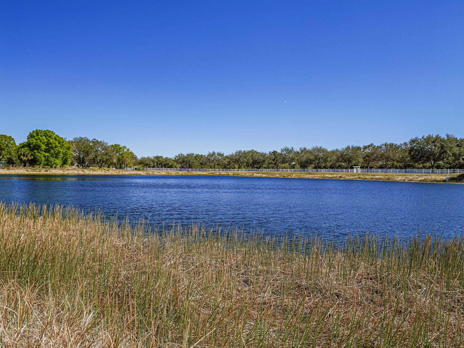 Tamarind Lakes - Residential