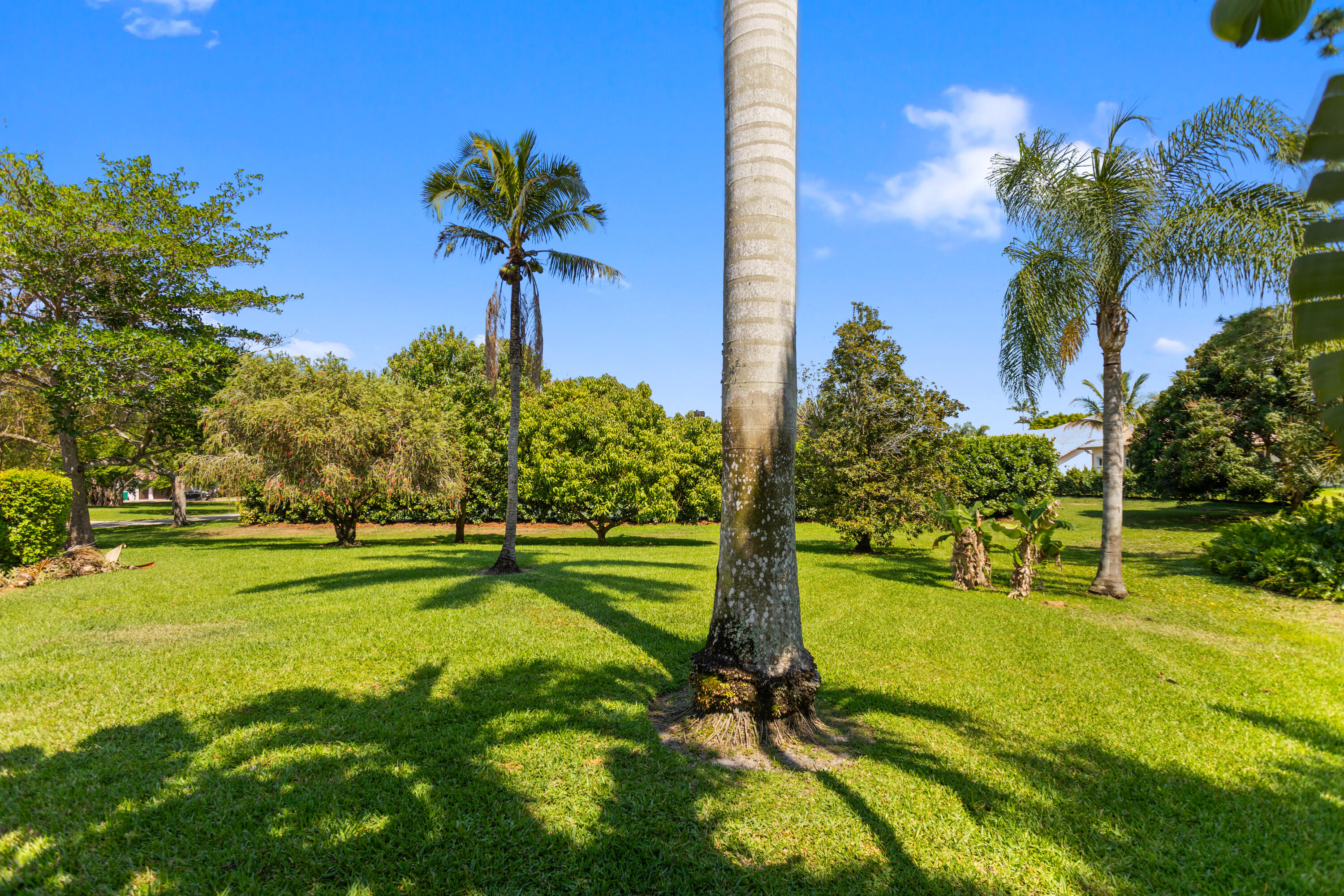 PARKLAND LAKES - Residential