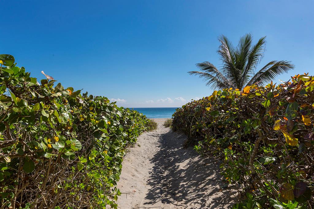 SABAL RIDGE APTS CONDO - Residential