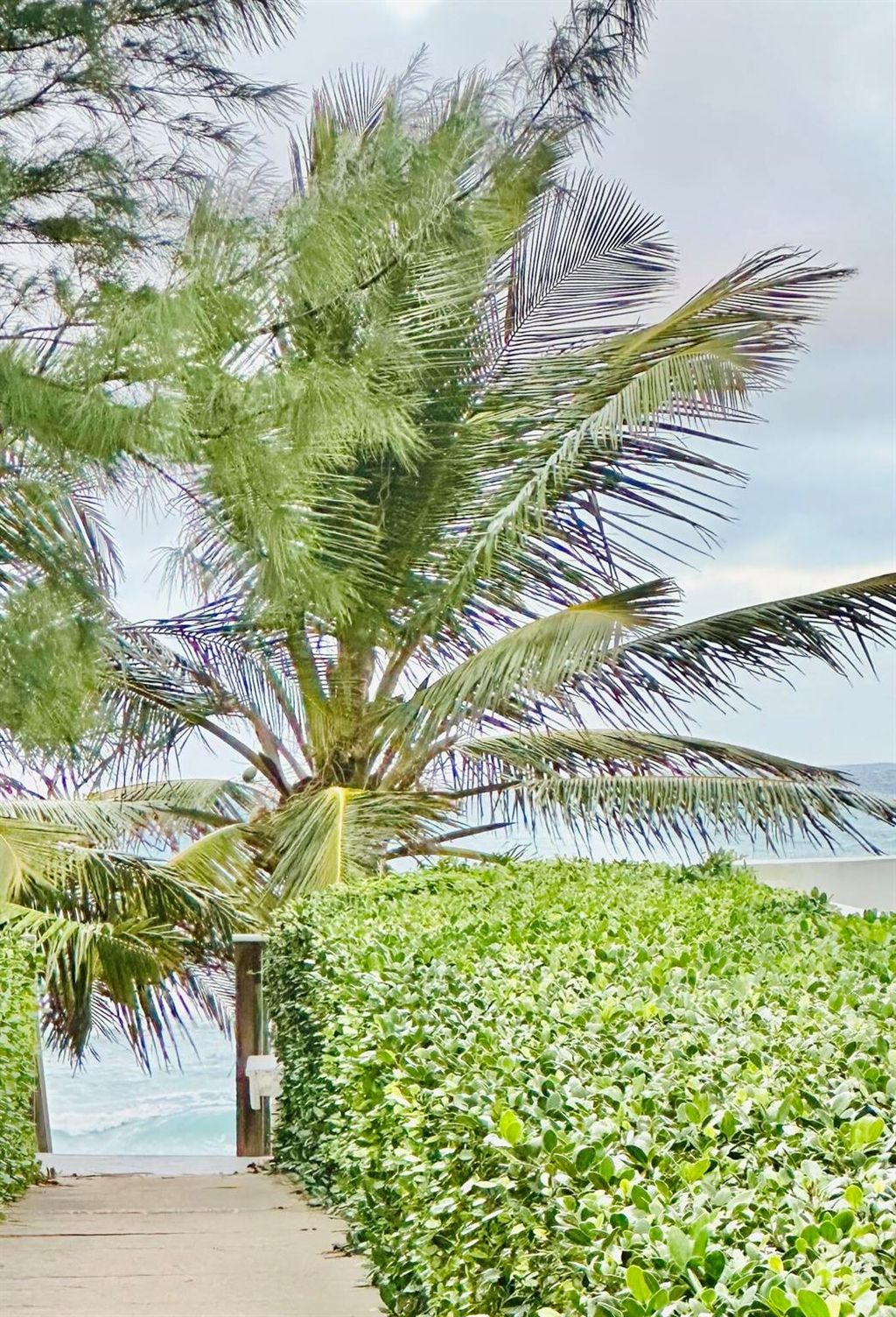 Photo of 2121 N Ocean Boulevard #201w, Boca Raton, FL 33431 (MLS # R10936559)