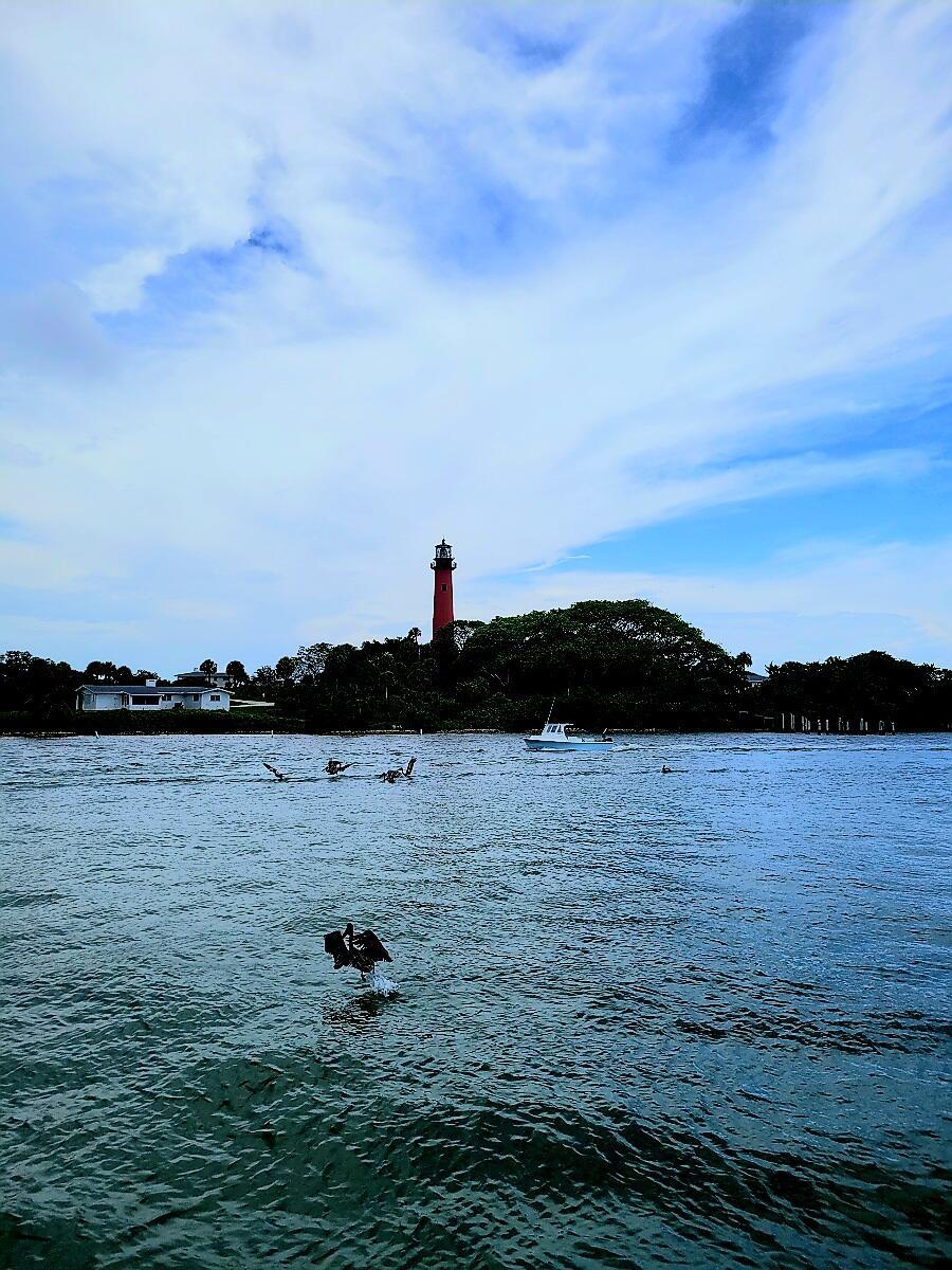 OCEAN WALK PLACE PH II - Residential