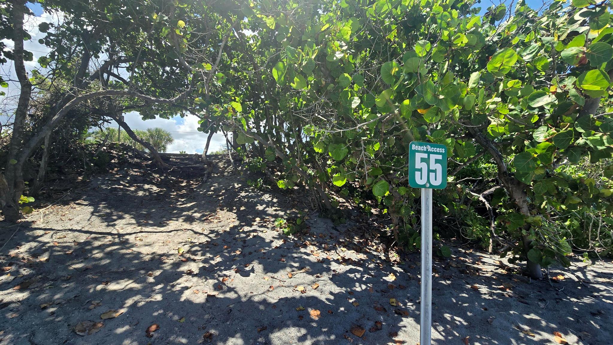 OCEAN WALK PLACE PH II - Residential