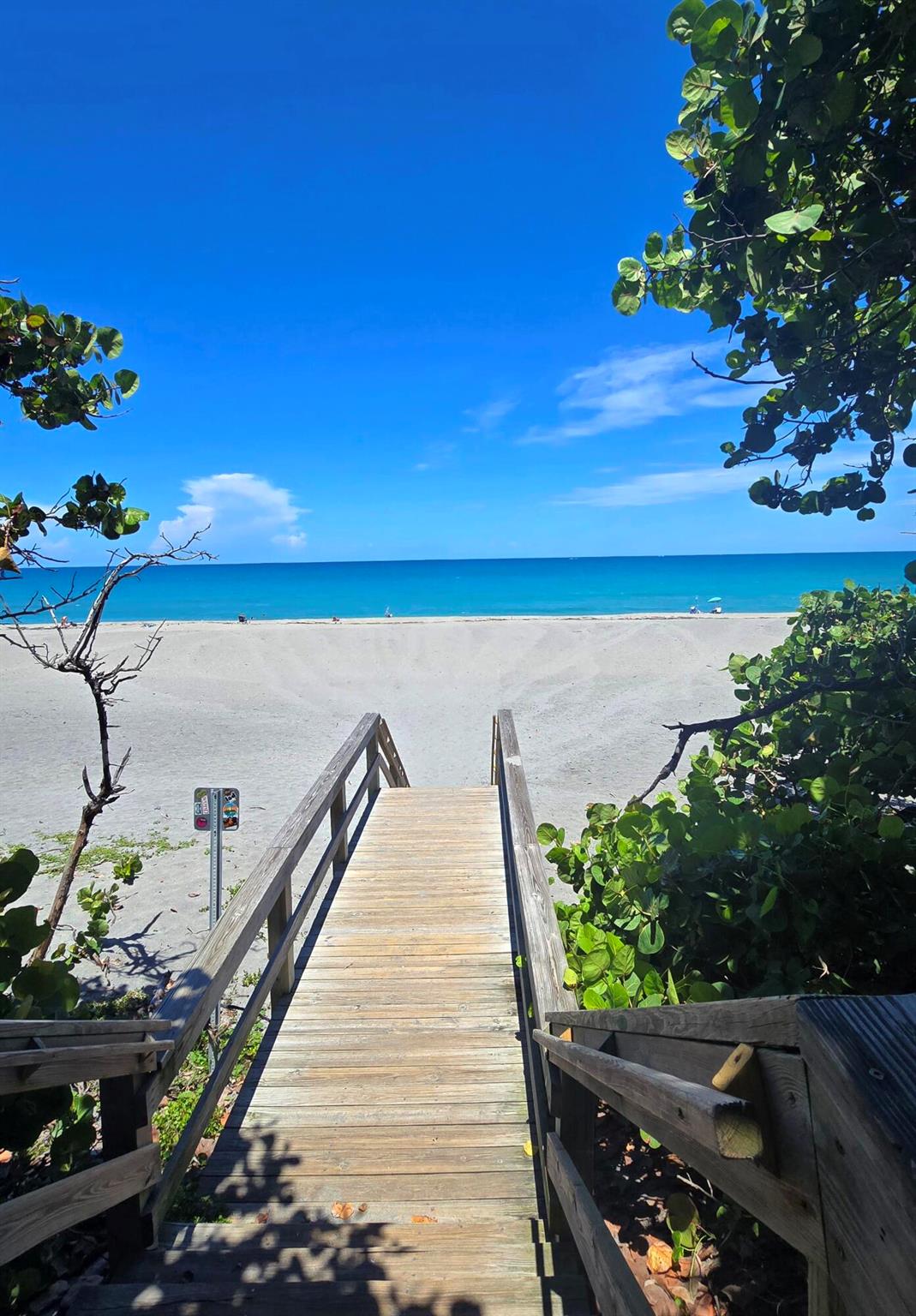 OCEAN WALK PLACE PH II - Residential