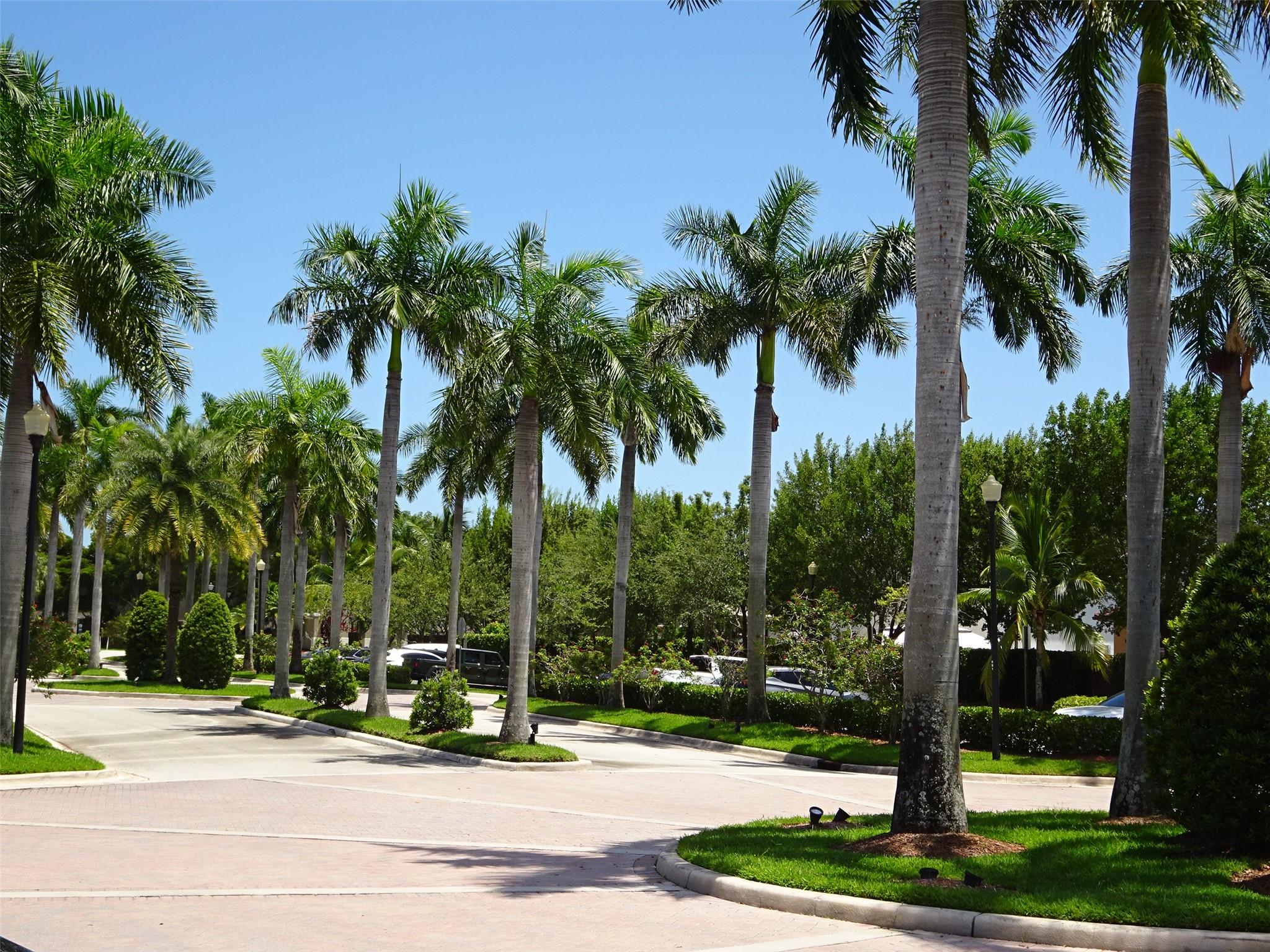 Isle At Bayshore - Residential