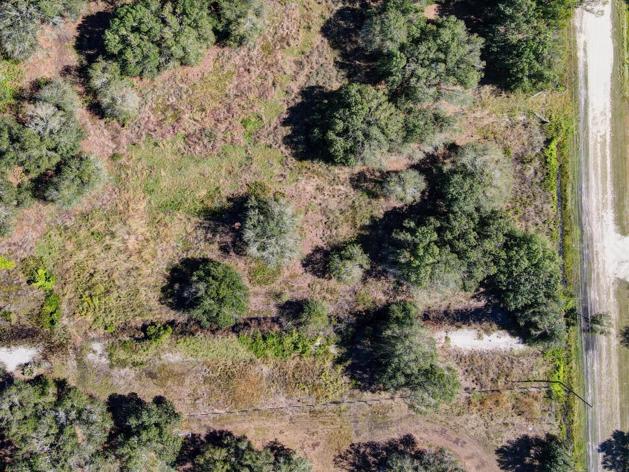 SOUTHERN COLONIZATION COM - Land