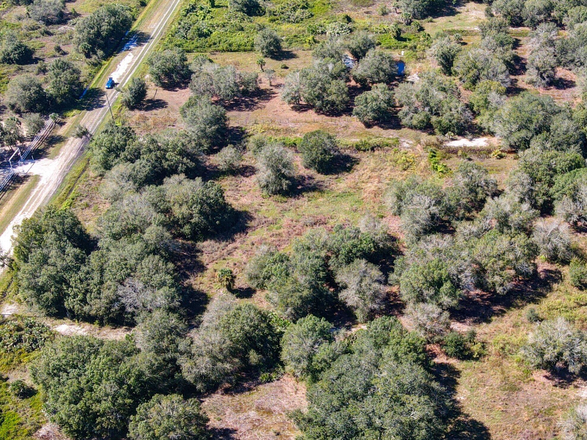 SOUTHERN COLONIZATION COM - Land