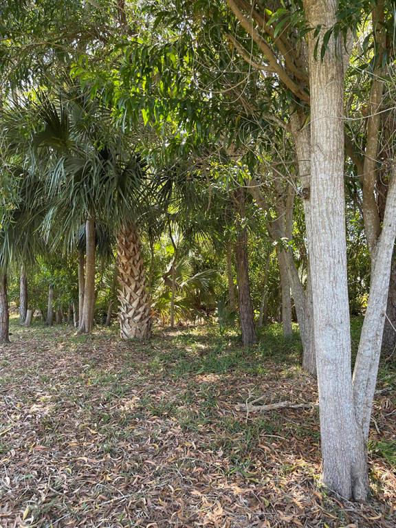 Port St Lucie North - Land