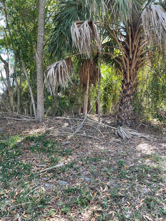 Port St Lucie North - Land