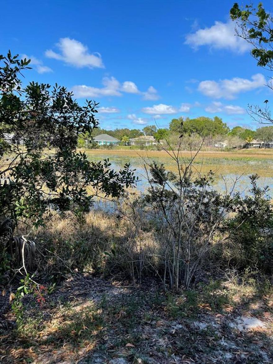 Owner is offer a new price on this property an wants is sold.  What a great opportunity on this one....Fantastic lot with wonderful lake/preserve views from the back yard. This high and dry lot over looks a 12 acre nature preserve conservation designated area . Enjoy the views and the nature wildlife including ducks and birds that  call this nature preserve area home. Build your dream home on this great lot with native trees including oaks. Not many of these lots are available on the market . Lots like this normally sell for a premium.