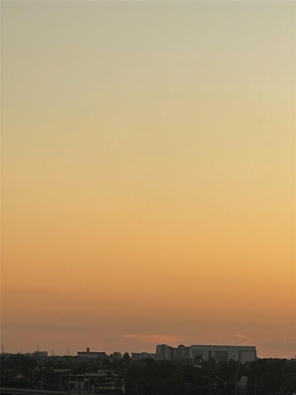 SELENE - Residential Lease