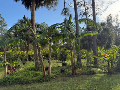 A home in Jupiter