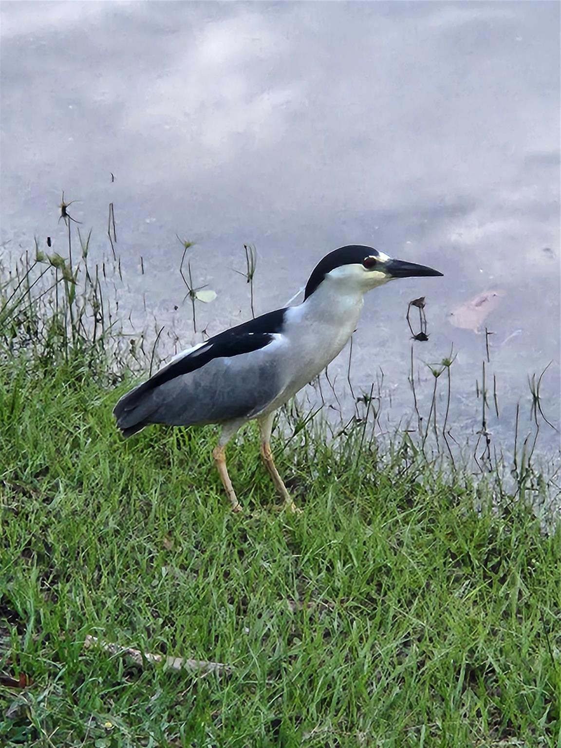 Hillcrest country Club 11 - Residential