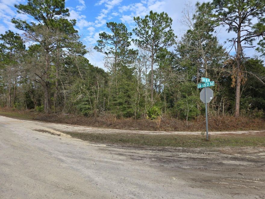 Discover a rare opportunity to own a 1.13-acre Corner lot in the sought-after Rolling Hills community of Dunnellon, nestled in beautiful Marion County. Perfect for those dreaming of the agricultural-residential lifestyle, this spacious property offers endless possibilities. Build your dream home, start a farm, establish a plant nursery, or create your personalized haven--it's all up to you! Located in a serene, rural setting with deed-restricted privacy, Rolling Hills combines the tranquility of nature with convenient access to State Road 200 and the SW corridor's shopping, dining, and medical facilities. With room to grow and the freedom to design your future, this incredible parcel won't last long. Submit your best offer today and make your vision a reality!