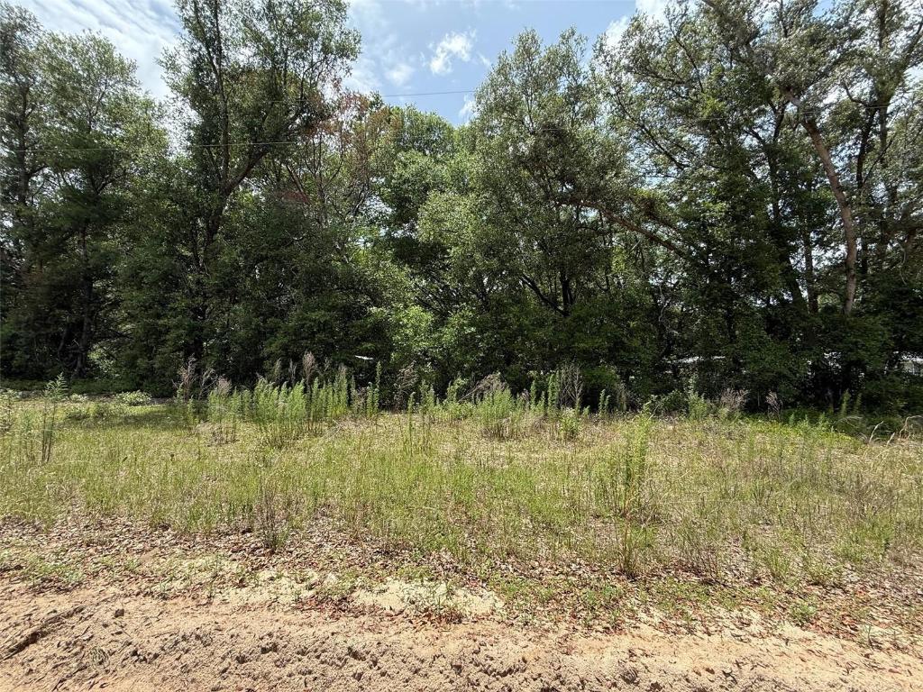 INTERLACHEN LAKES ESTATES - Land