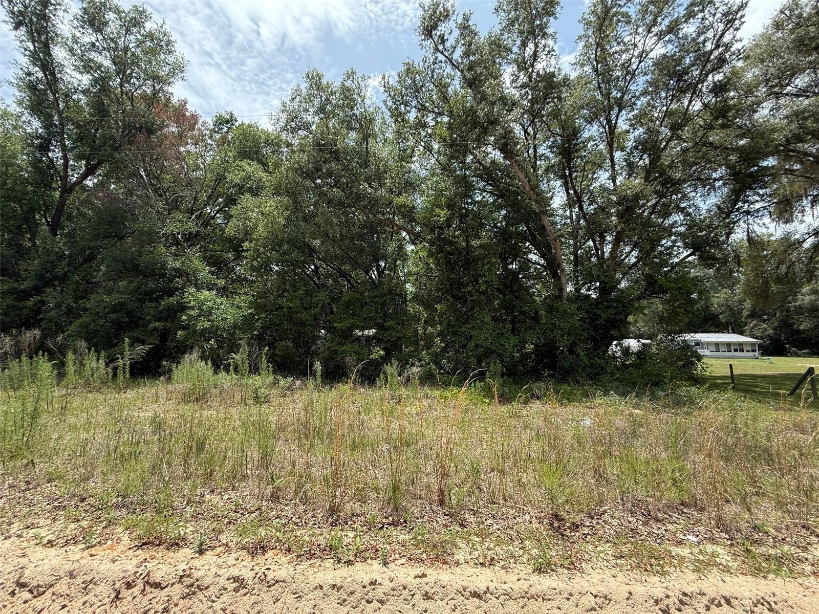 Do not miss out on this 0.22-acre high and dry lot in the growing city of Interlachen. With power lines already in place, accessing electricity is a breeze. Located within minutes of schools, restaurants, diners, and parks. An easy commute to Gainesville or Palatka and less than an hour from the beach. Investing in land in Florida is a wise choice for your future, whether you're looking to build your dream home, a vacation getaway, a rental property, or simply let the land appreciate as a valuable long-term asset to resell at a profit in the future.