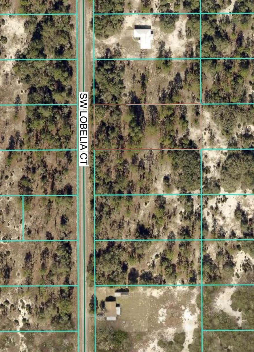 Owner Financing Available! Two residential lots, lot 32 and lot 35, each .99 acre, located on SW Lobelia CT in Rainbow Lakes Estates, Dunnellon, FL. Both lots provide ample space for future site built homes and are currently available for sale. Rainbow Lakes Estates offers lakes, parks, and recreational areas, with no HOA. The property is located in Dunnellon, with shopping, dining, medical facilities, and other everyday conveniences easily reachable. Outdoor enthusiasts will enjoy nearby attractions including Rainbow Springs State Park, the withlacoochee River, Kayaking and boating opportunities, hiking trails, and local parks. Buyers to conduct their own due diligence and verify all info. A great opportunity to build now or invest in land within a growing area of Marion County.