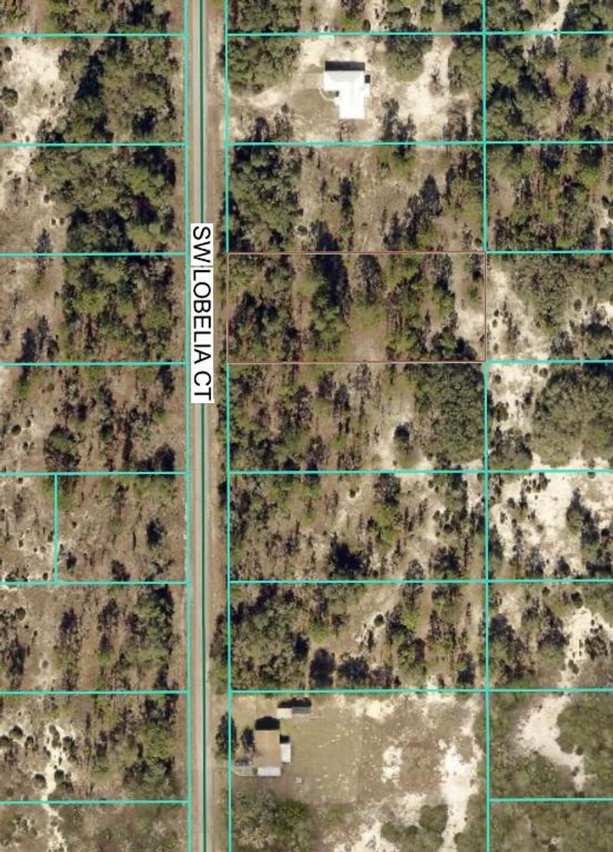 Owner Financing Available! Two residential lots, lot 32 and lot 35, each .99 acre, located on SW Lobelia CT in Rainbow Lakes Estates, Dunnellon, FL. Both lots provide ample space for future site built homes and are currently available for sale. Rainbow Lakes Estates offers lakes, parks, and recreational areas, with no HOA. The property is located in Dunnellon, with shopping, dining, medical facilities, and other everyday conveniences easily reachable. Outdoor enthusiasts will enjoy nearby attractions including Rainbow Springs State Park, the withlacoochee River, Kayaking and boating opportunities, hiking trails, and local parks. Buyers to conduct their own due diligence and verify all info. A great opportunity to build now or invest in land within a growing area of Marion County.