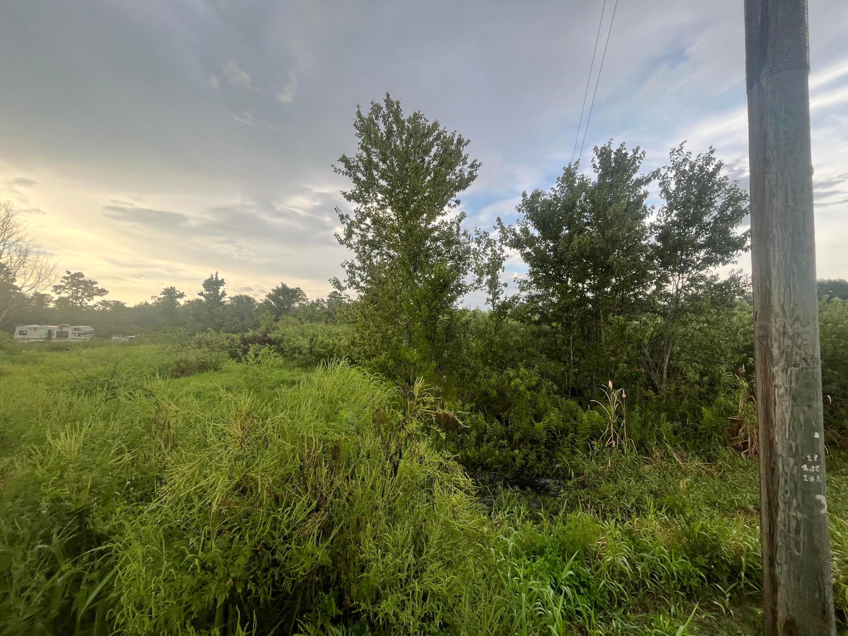 CENTRAL ACRES SECTION 1 - Land