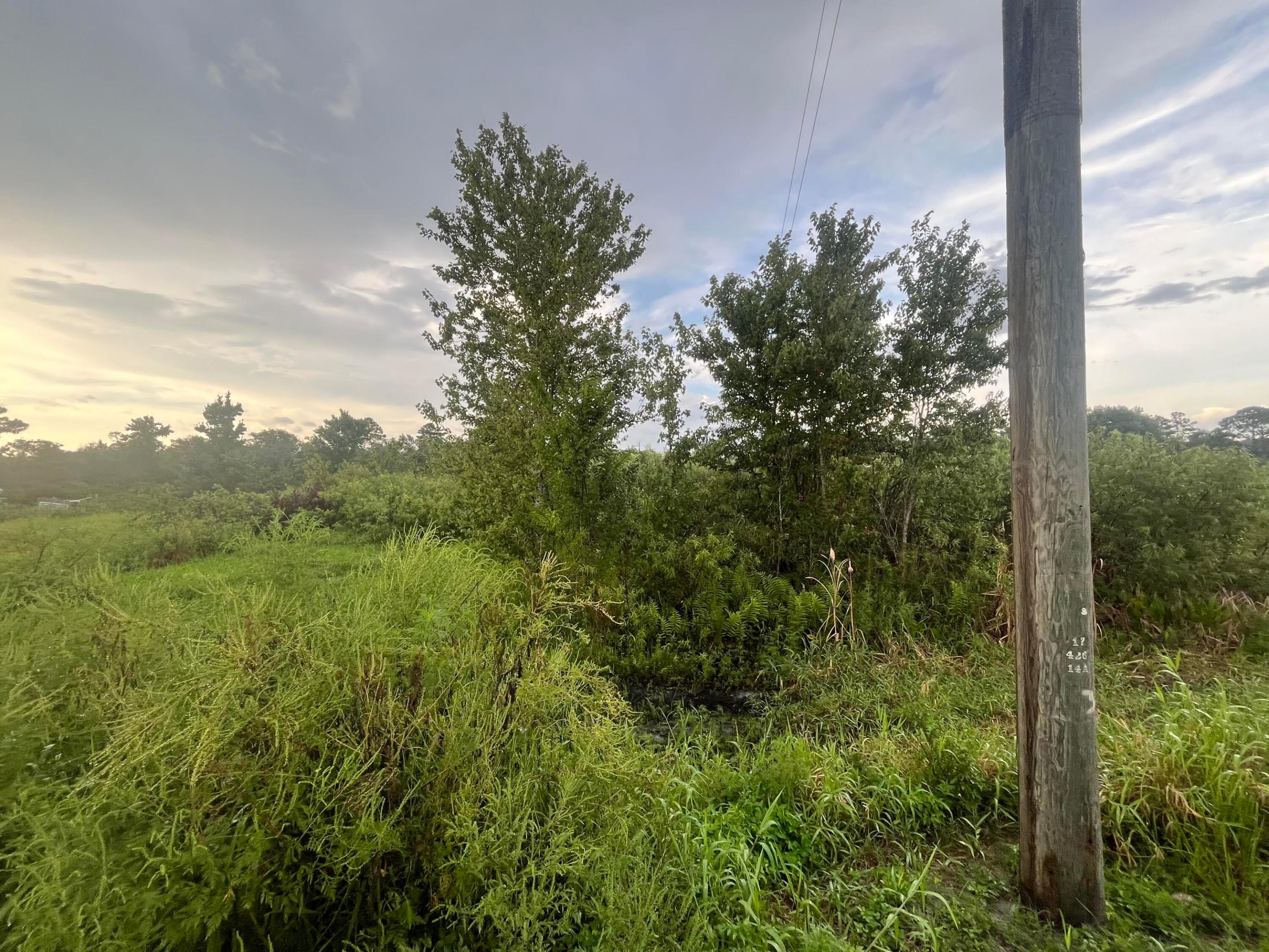 CENTRAL ACRES SECTION 1 - Land