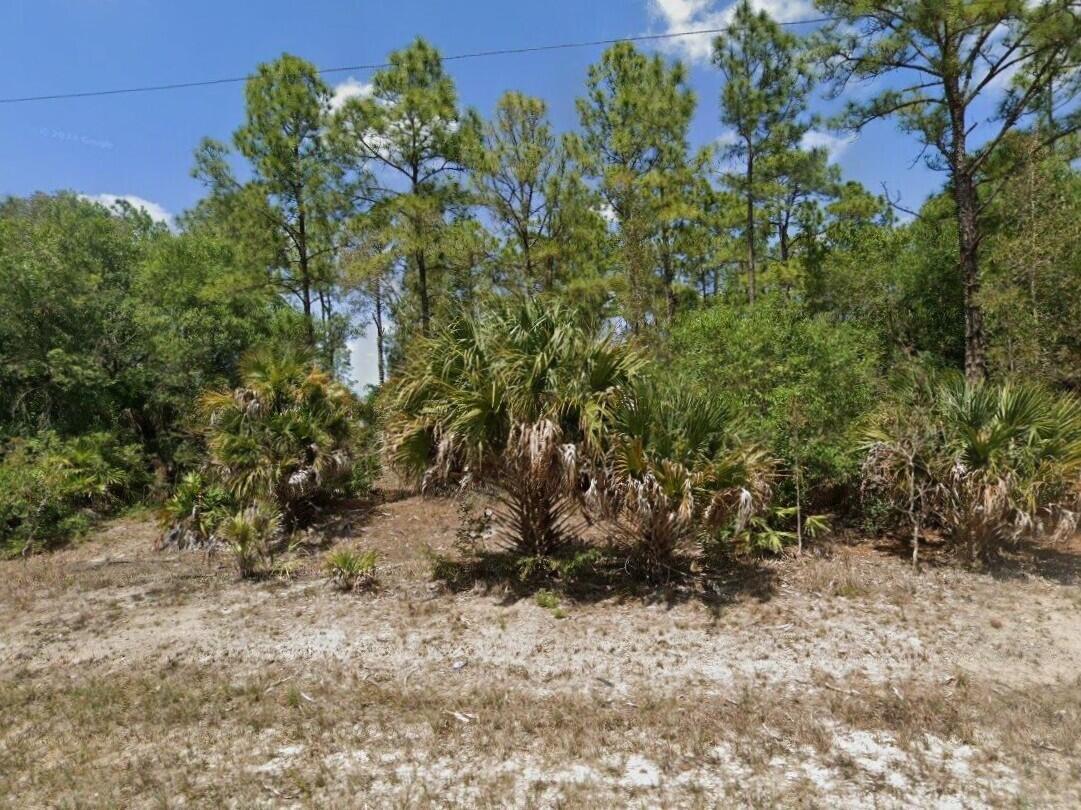 Great location! Surrounded by new construction homes. Perfect to build a nice size home. Paved road with electricity at the curb. Buy now for investment or to build a home. Hablamos Espanol.! Motivate seller.