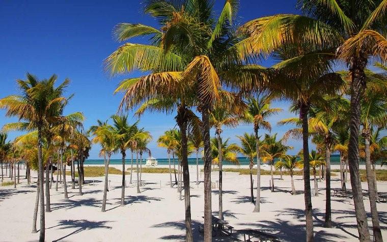 OCEANSIDE SEC ISLE OF NOR - Residential Lease