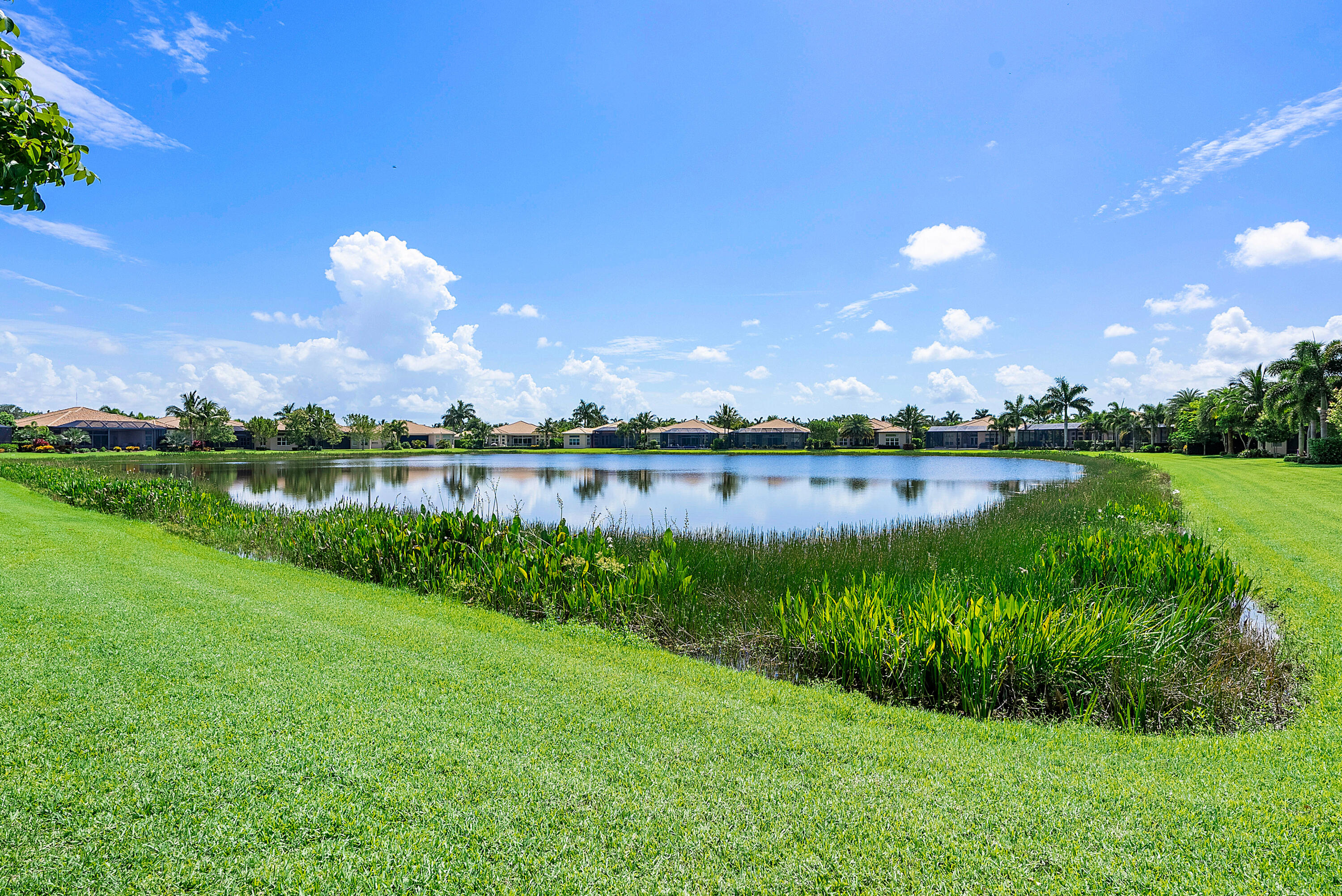 Valencia Cove - Residential