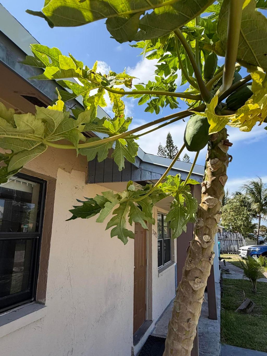 Photo of 3243 Grove Road, Boynton Beach, FL 33435 (MLS # B26033972)