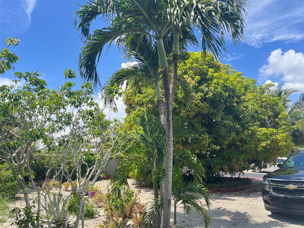 Seacrest Estates - Residential