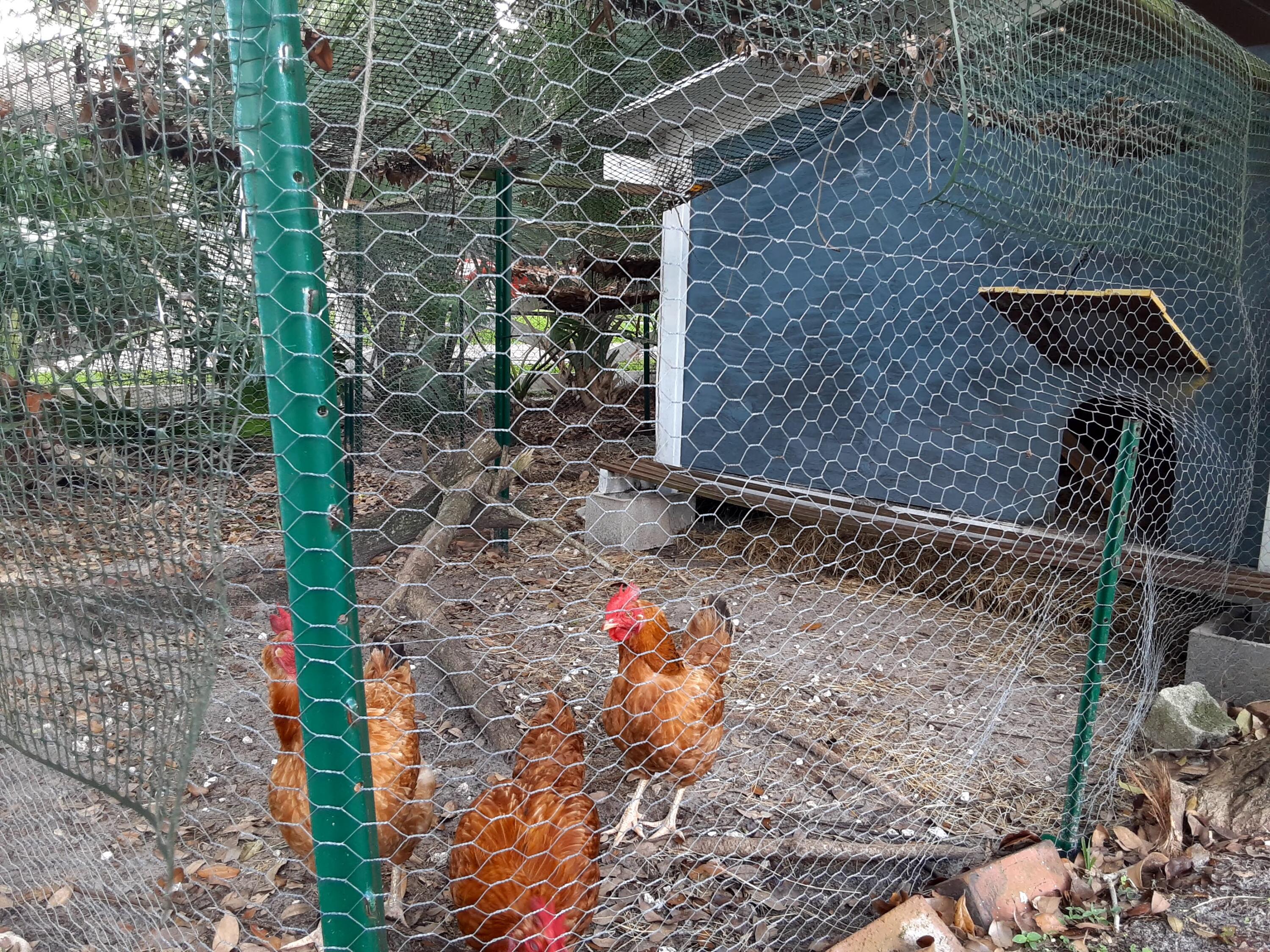 Square Lake In - Residential