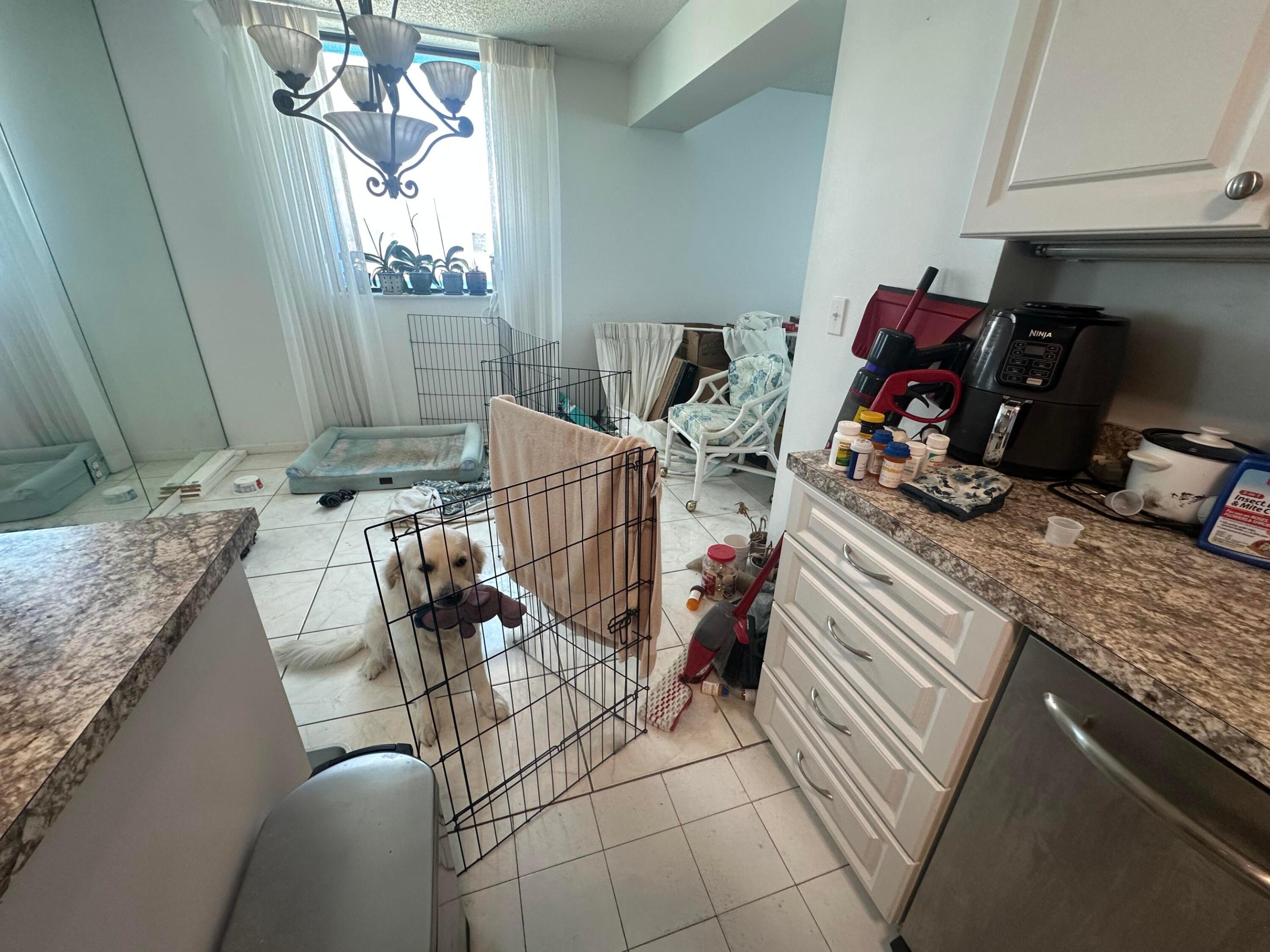 5380 N Ocean Drive 4e