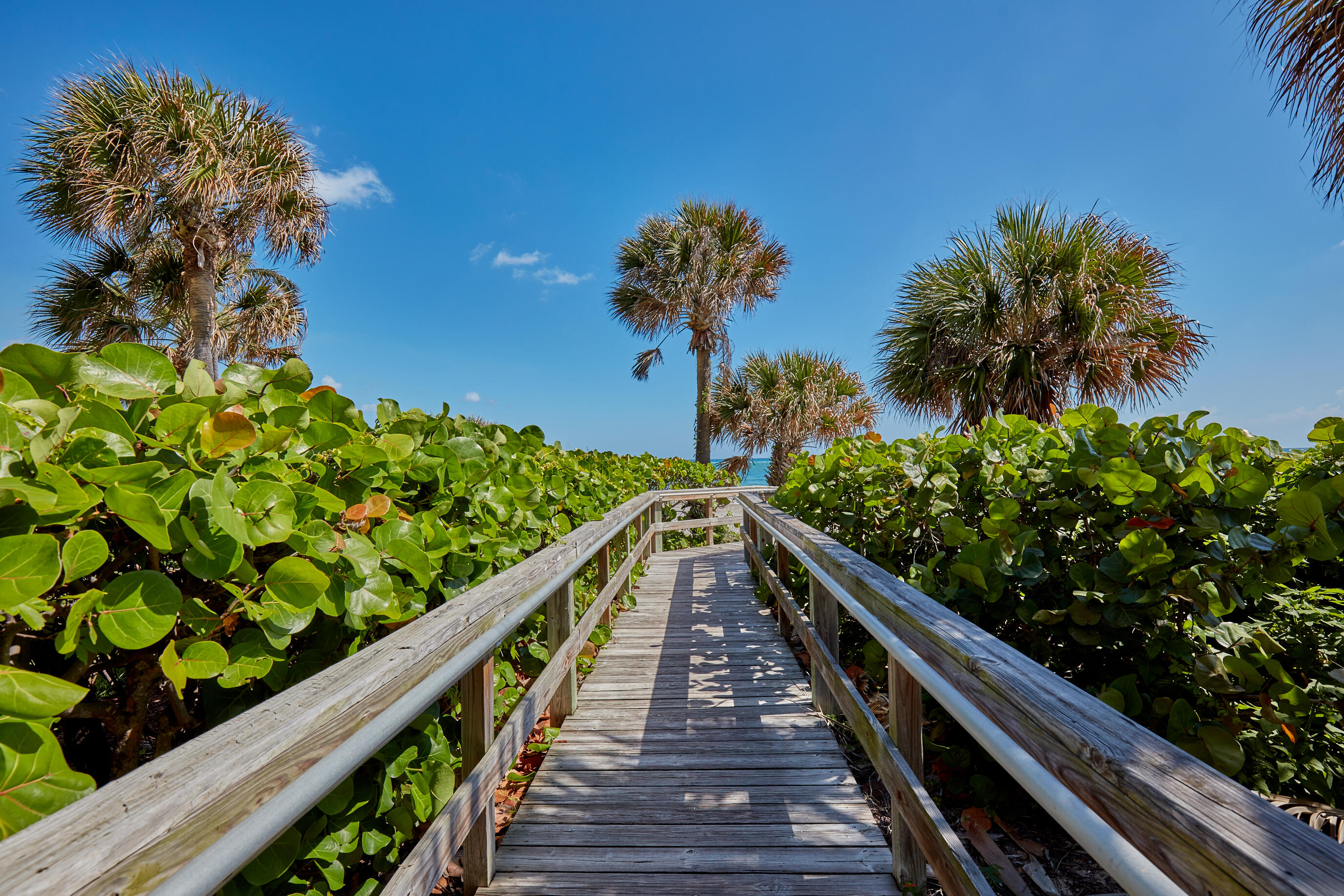 Ocean Trail - Residential