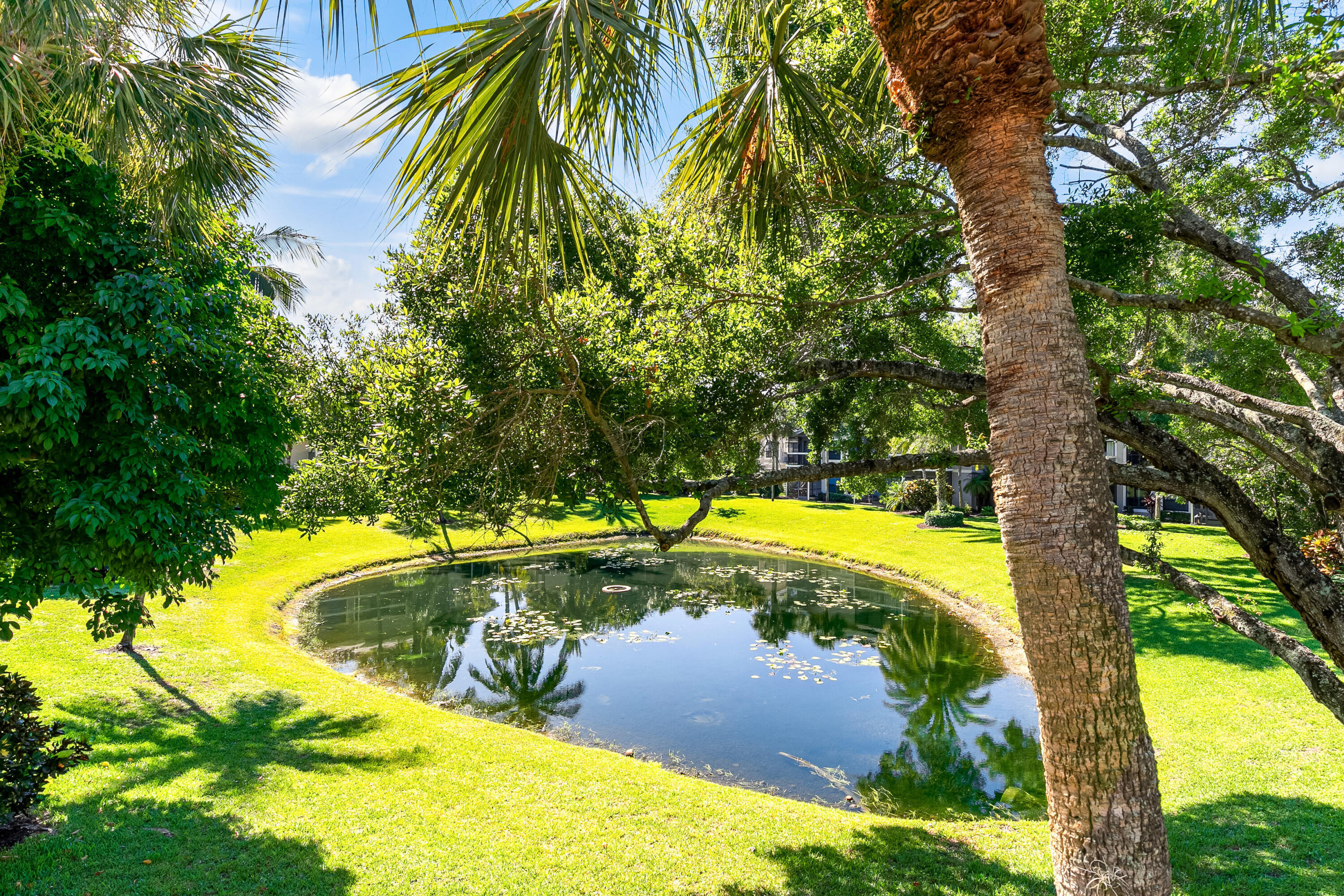 TENNIS LODGES 1 CONDO - Residential Lease