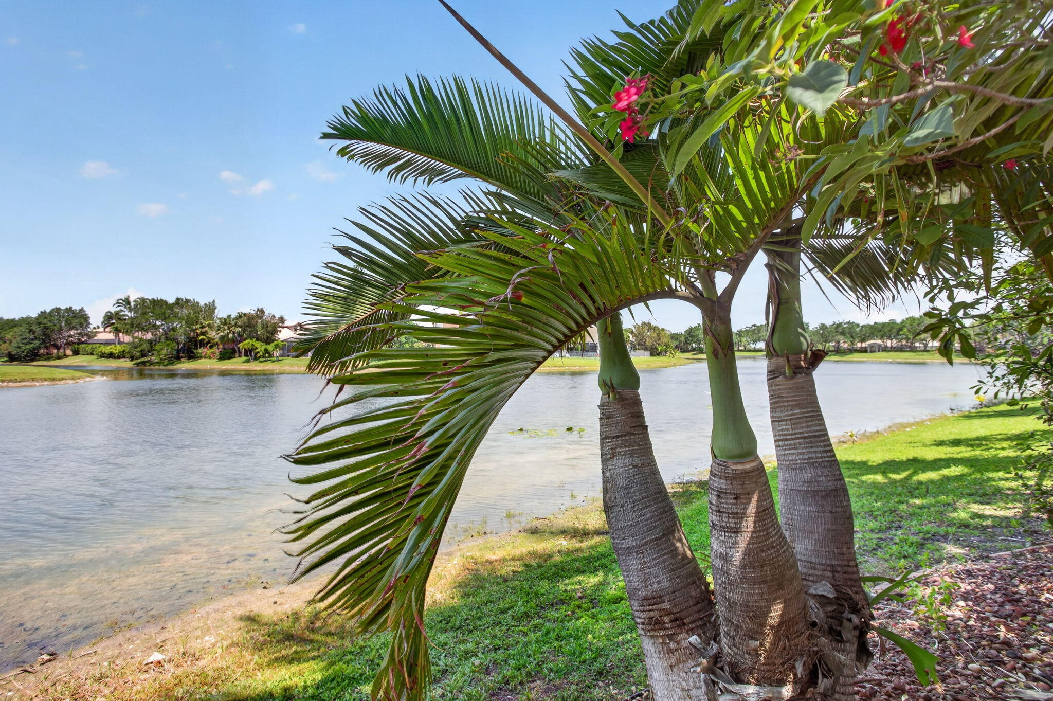 PARKLAND ISLES - Residential